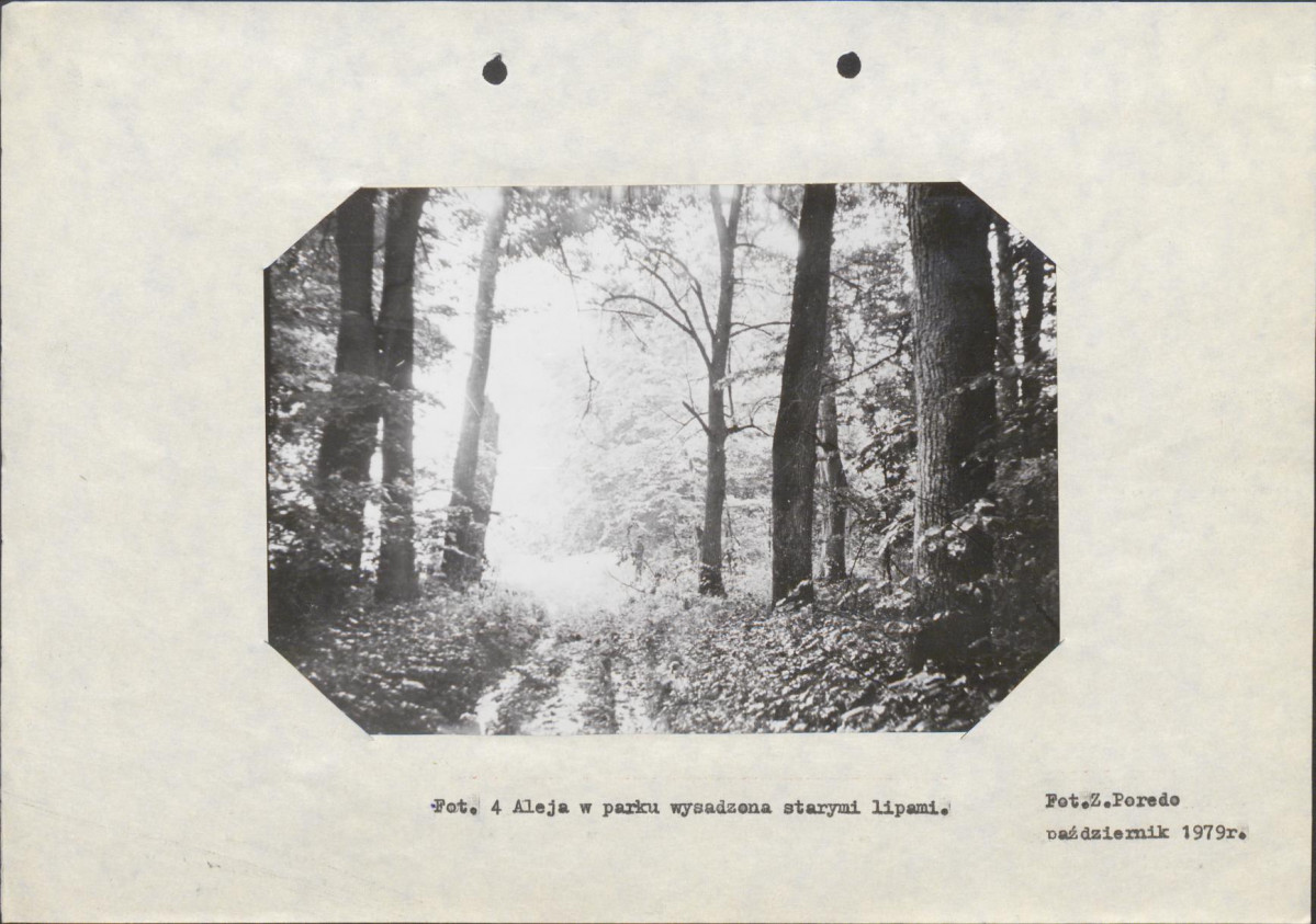Ewidencja parkowa, skan nr 21