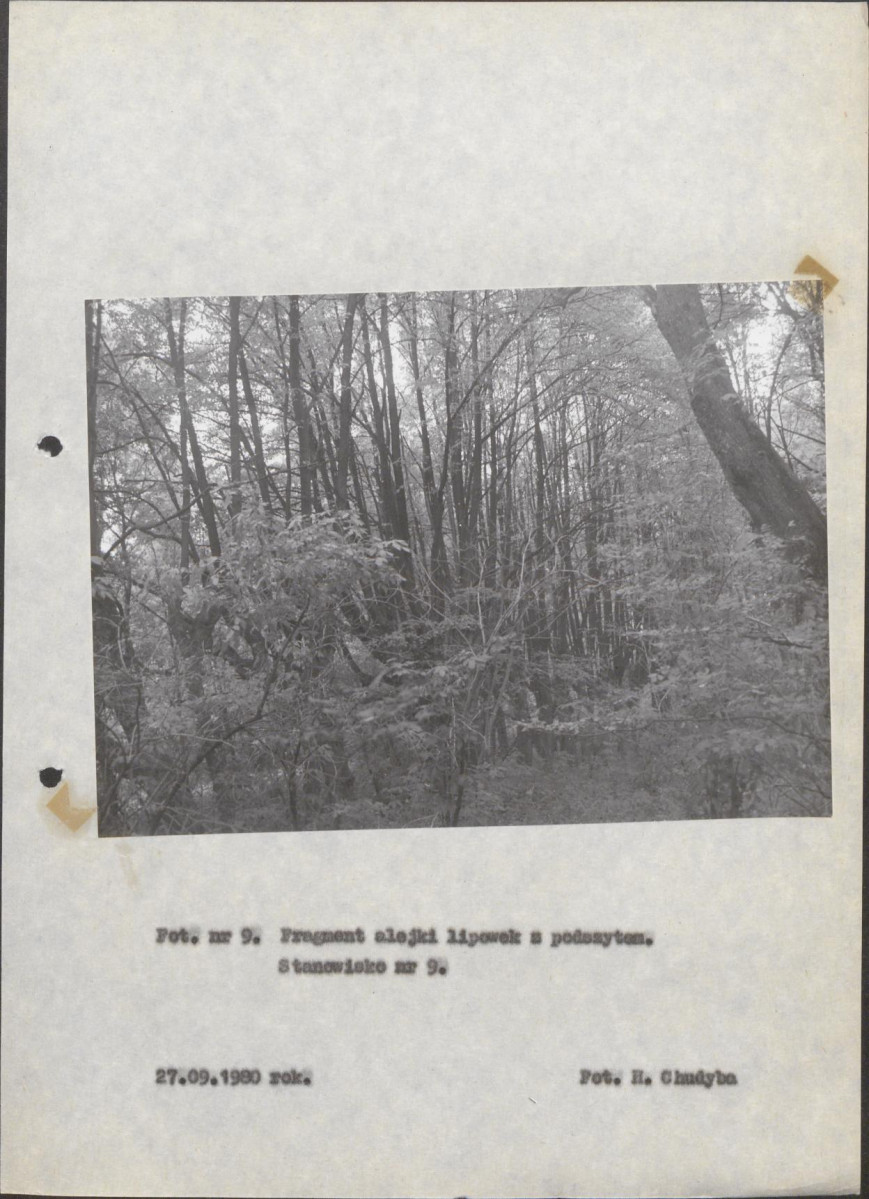 EP - Ewidencja parkowa, skan nr 31