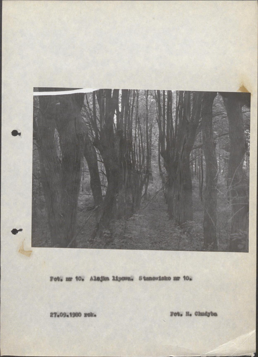 EP - Ewidencja parkowa, skan nr 32