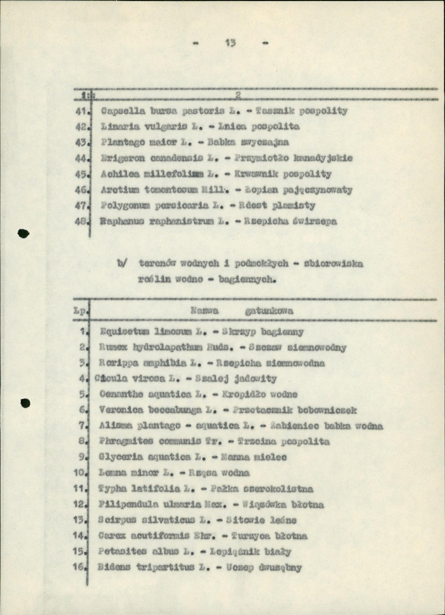 Ewidencja parkowa, skan nr 21