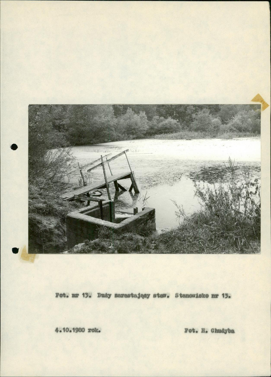 Ewidencja parkowa, skan nr 42