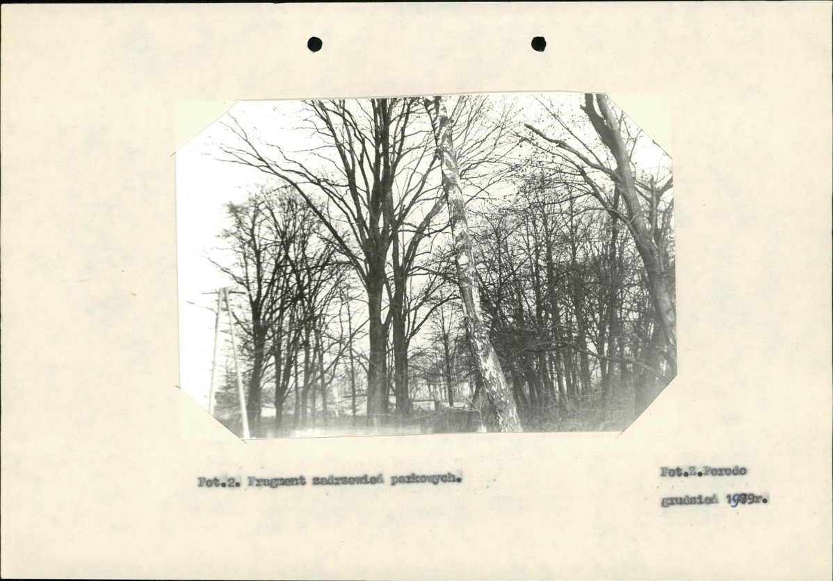 Ewidencja parkowa, skan nr 17