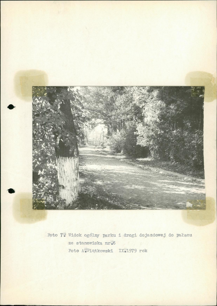 Ewidencja parkowa, skan nr 29