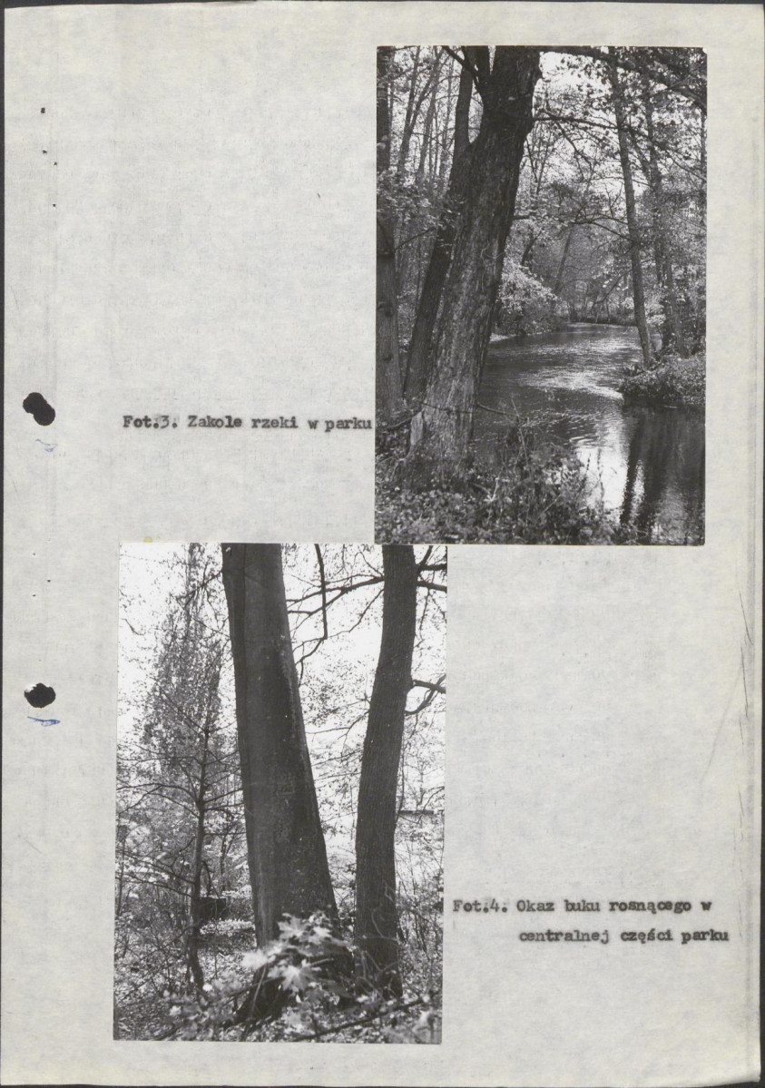 Ewidencja parkowa, skan nr 20