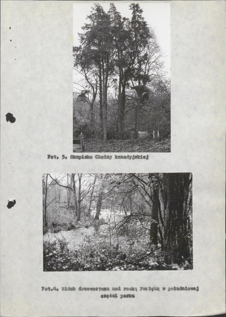 Ewidencja parkowa, skan nr 21