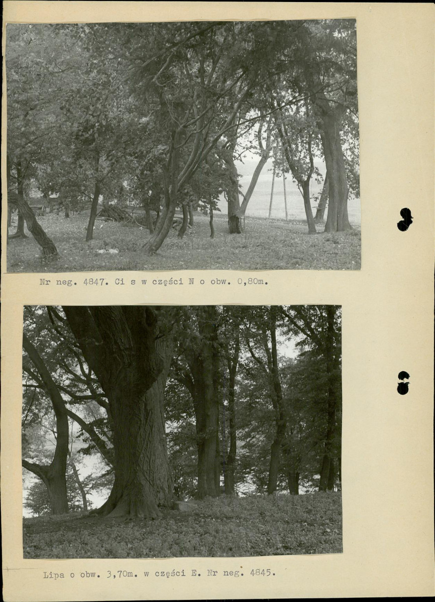 Ewidencja parkowa, skan nr 15