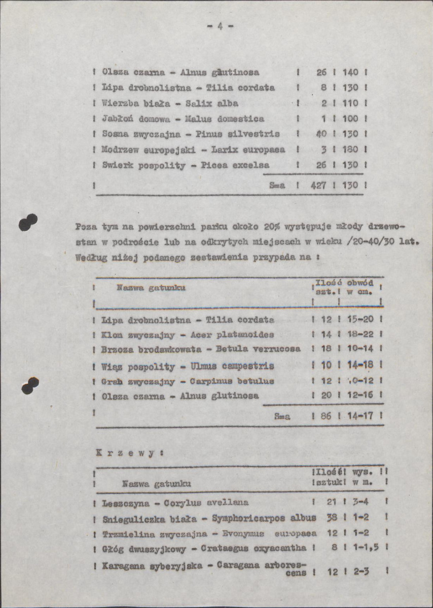 Ewidencja parkowa, skan nr 12