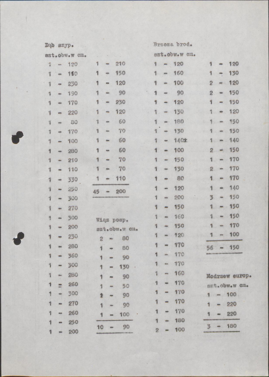Ewidencja parkowa, skan nr 15