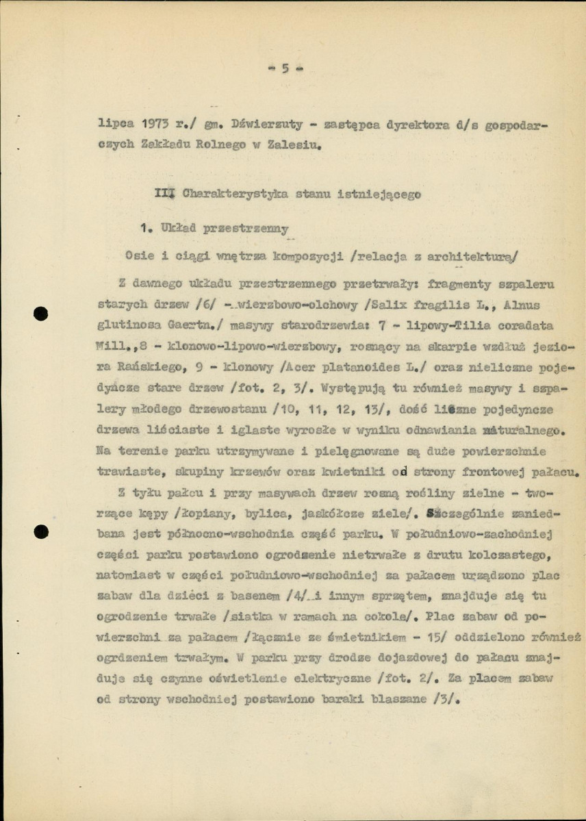Ewidencja parkowa, skan nr 13