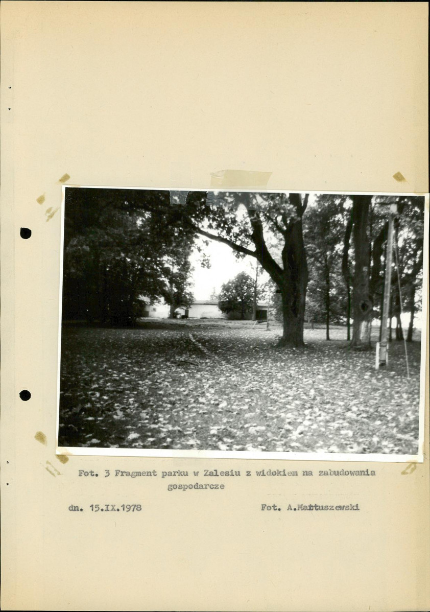 Ewidencja parkowa, skan nr 25
