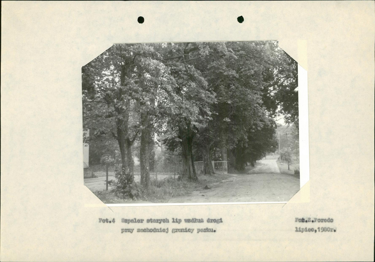 Ewidencja parkowa, skan nr 18