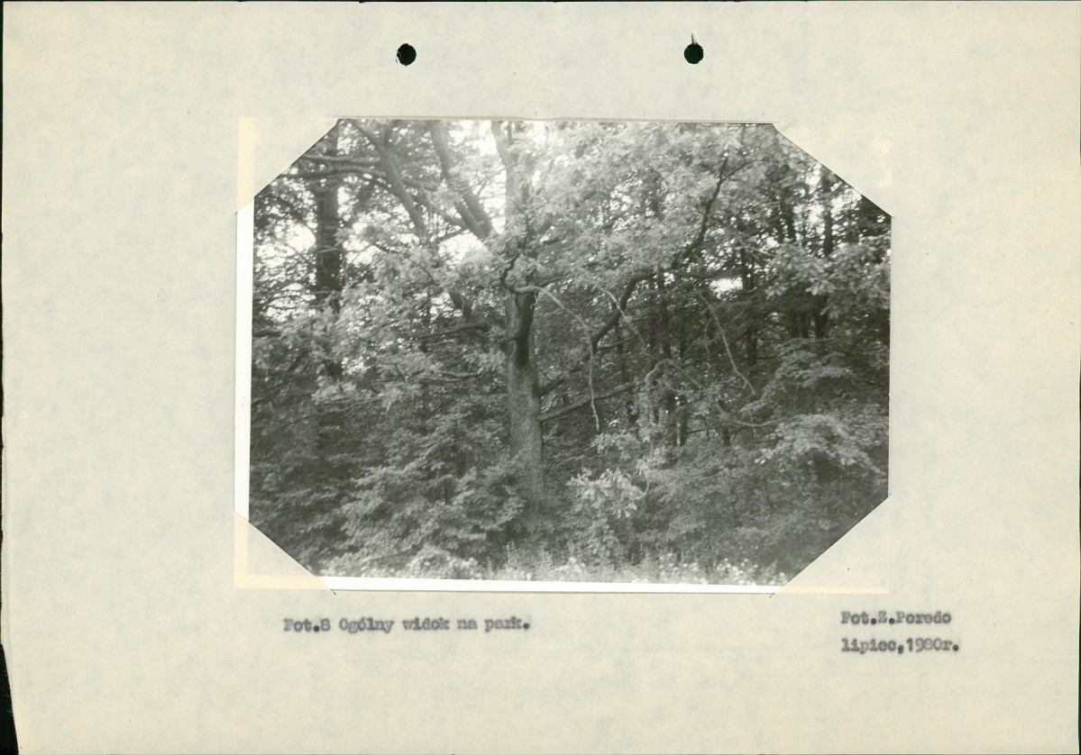 Ewidencja parkowa, skan nr 22