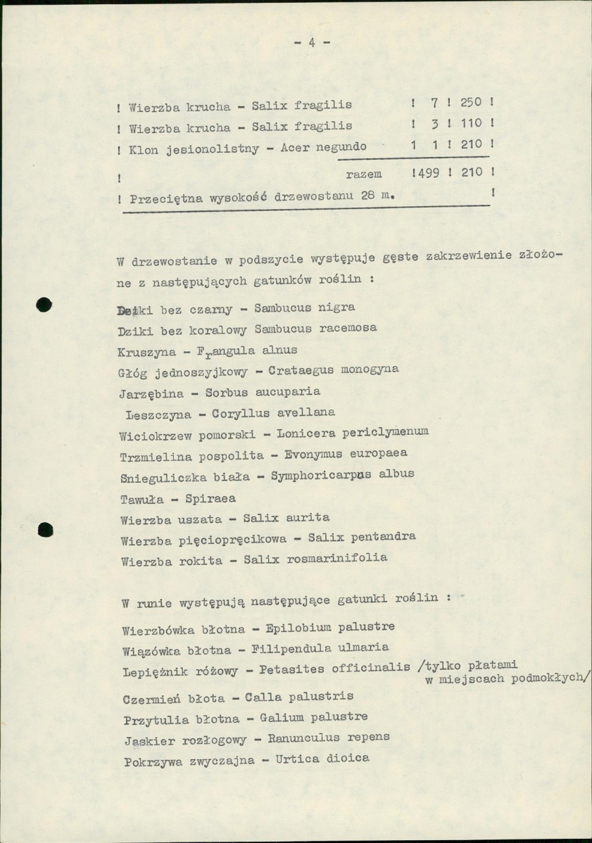 Ewidencja parkowa, skan nr 11