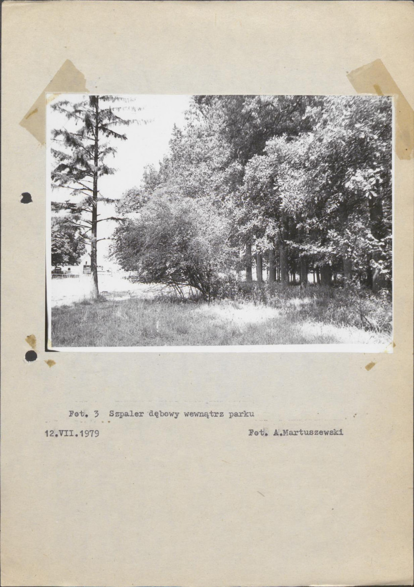Ewidencja parkowa, skan nr 21