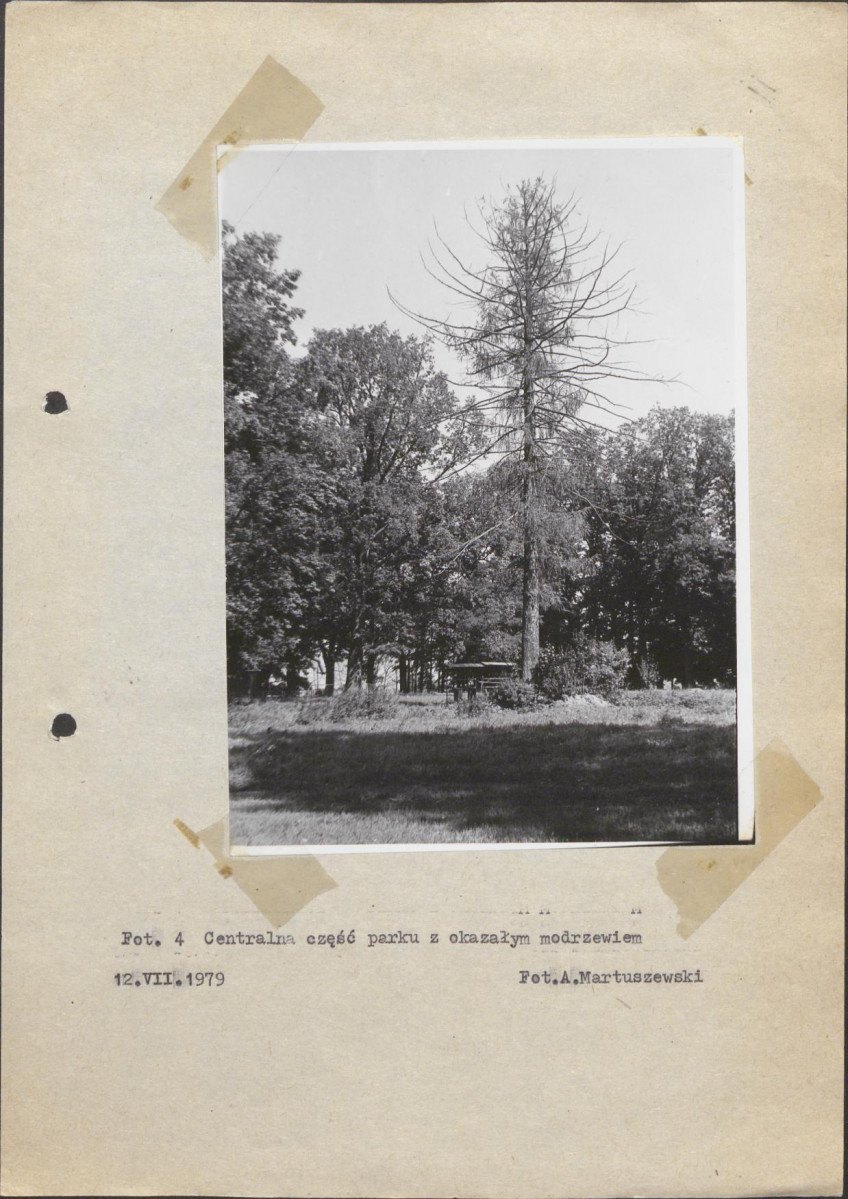 Ewidencja parkowa, skan nr 22