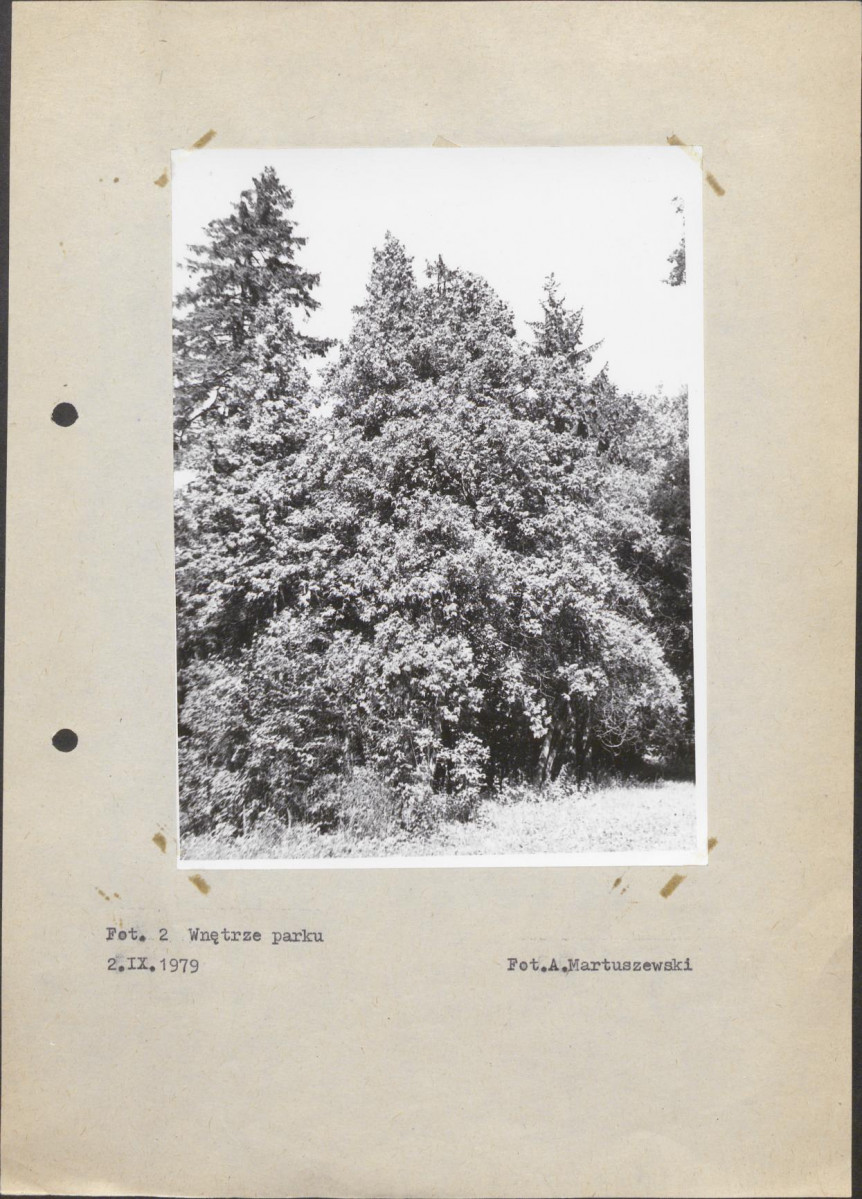 Ewidencja parkowa, skan nr 22