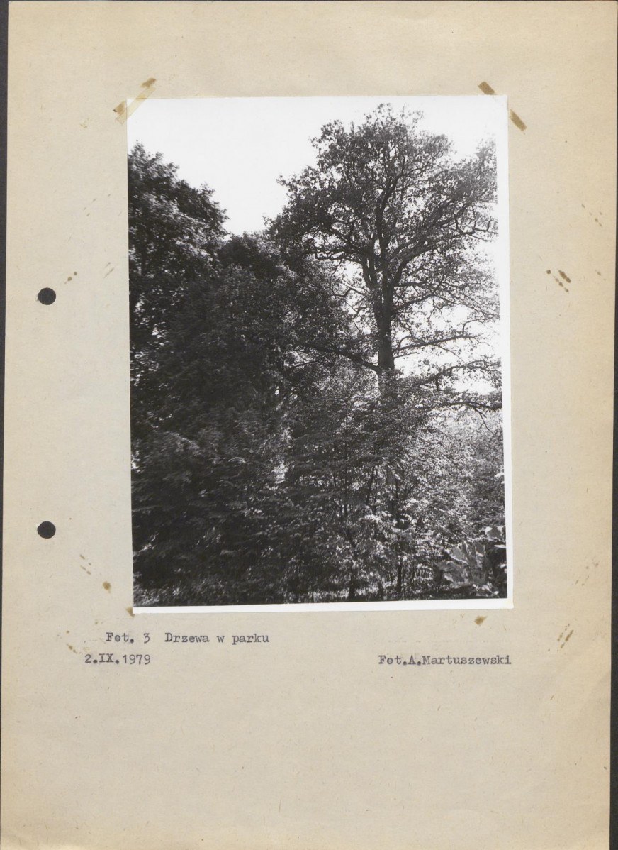 Ewidencja parkowa, skan nr 23