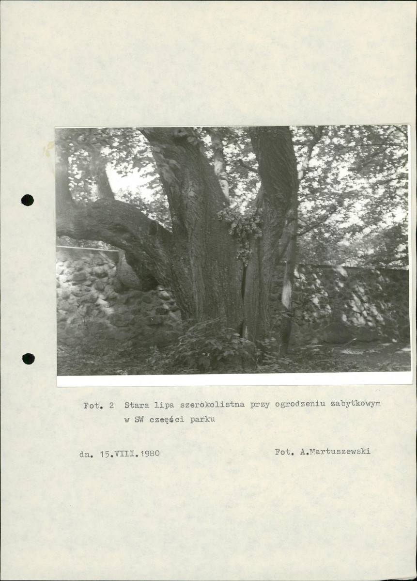 Ewidencja parkowa, skan nr 23