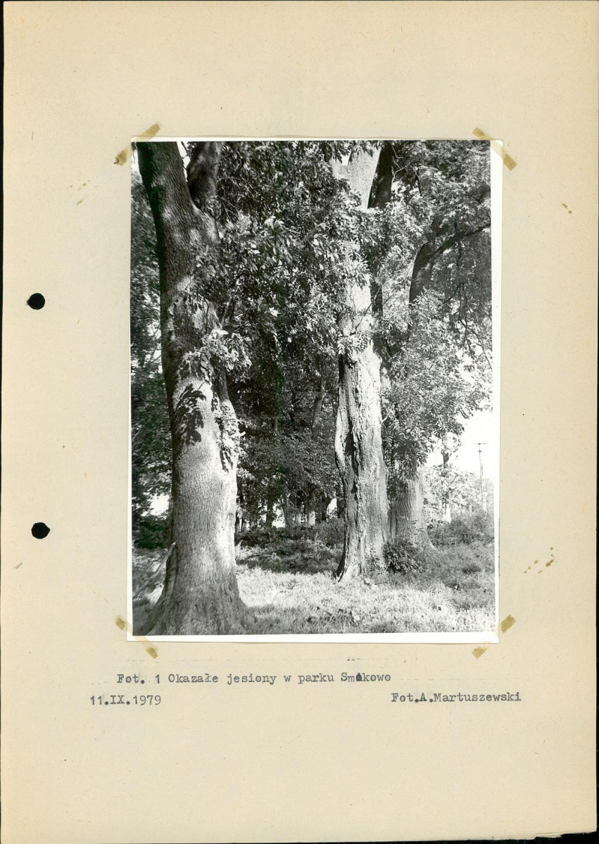Ewidencja parkowa, skan nr 20