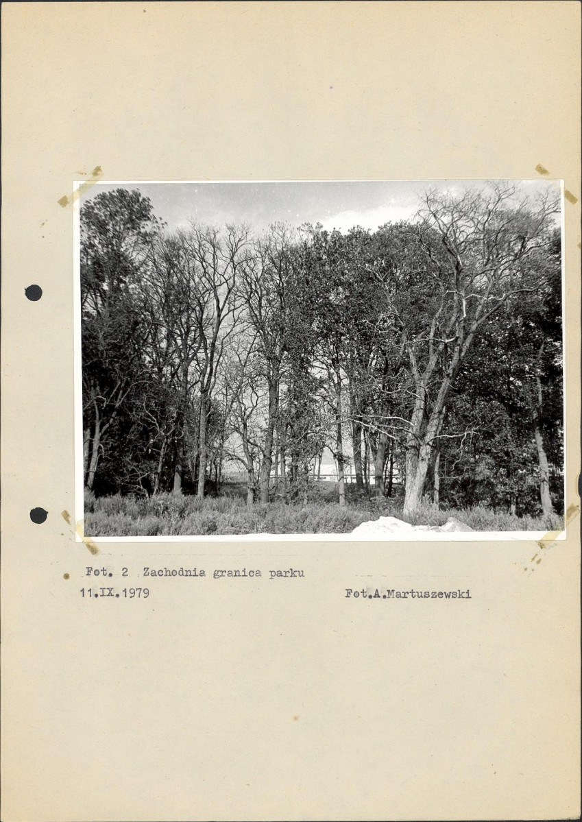 Ewidencja parkowa, skan nr 21