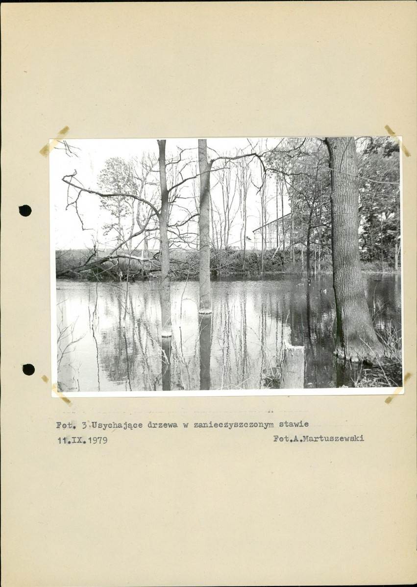 Ewidencja parkowa, skan nr 22