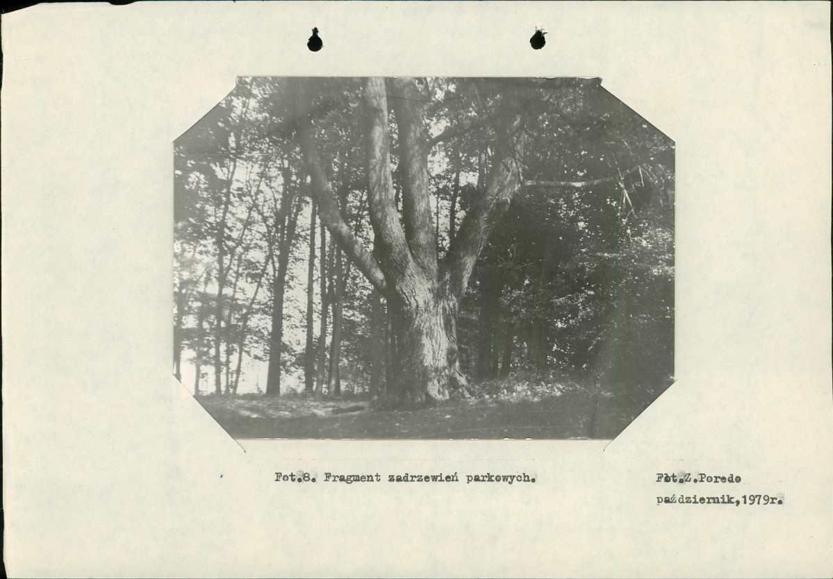 Ewidencja parkowa, skan nr 26