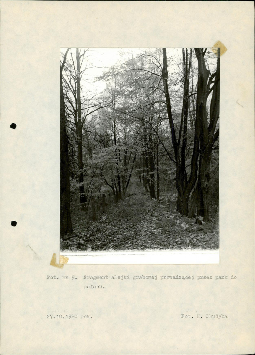 Ewidencja parkowa, skan nr 37