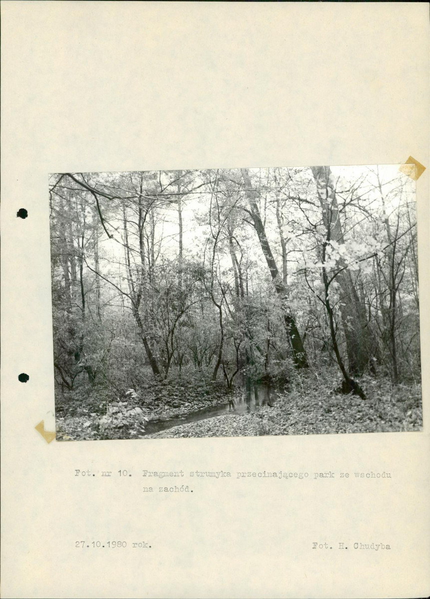 Ewidencja parkowa, skan nr 38