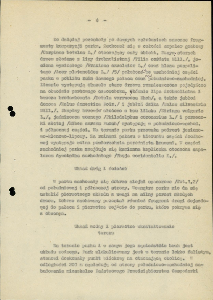 Ewidencja parkowa, skan nr 11