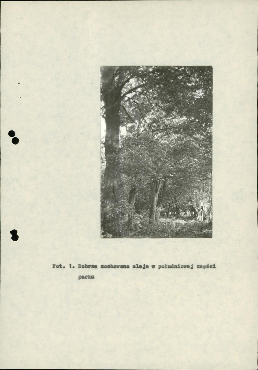 Ewidencja parkowa, skan nr 18