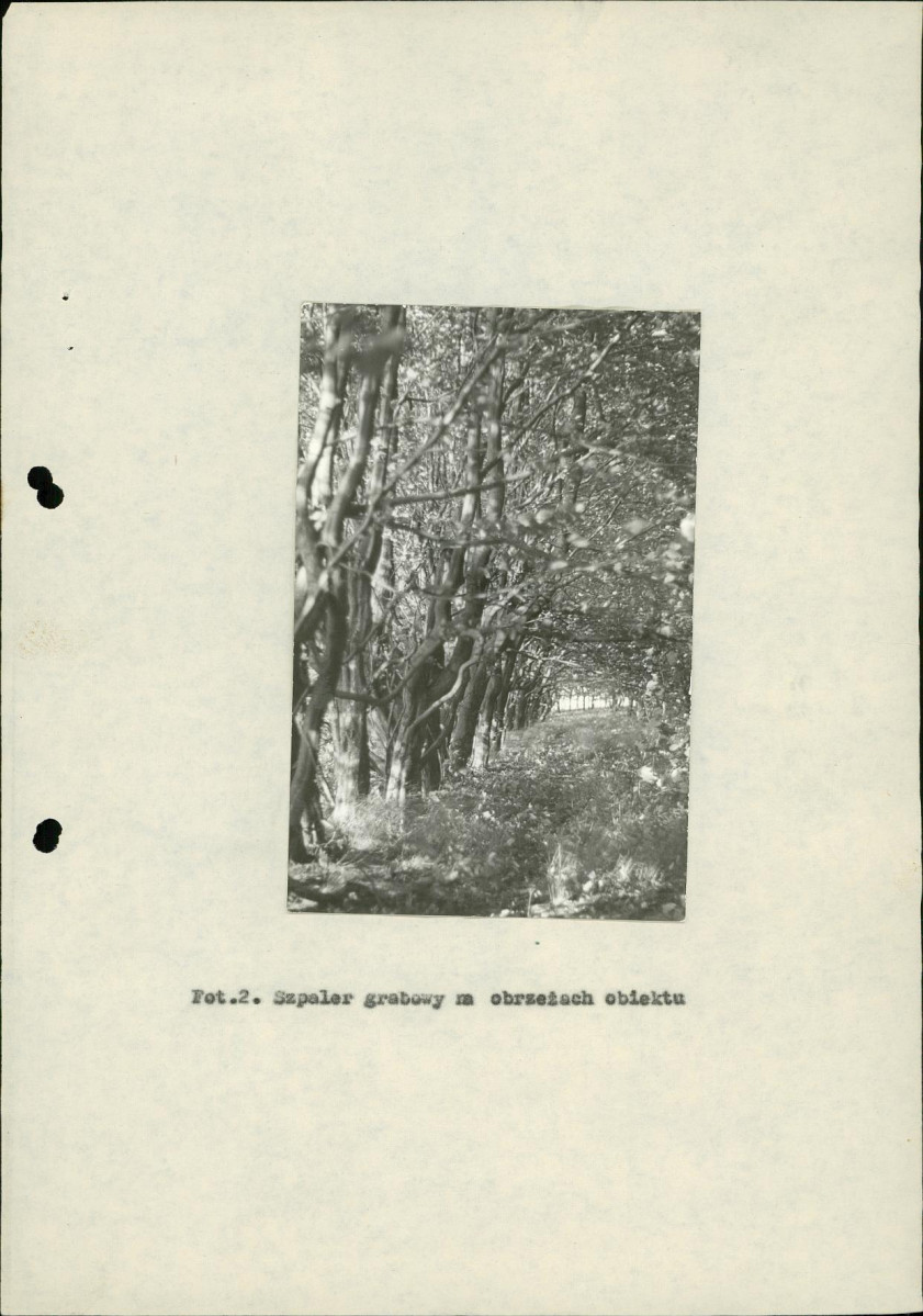 Ewidencja parkowa, skan nr 19
