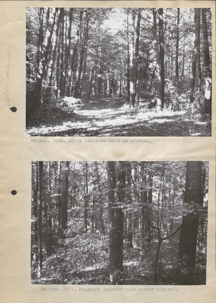 Ewidencja parkowa, skan nr 10