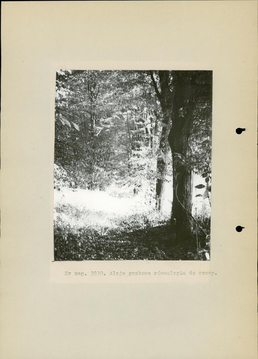 Ewidencja parkowa, skan nr 15