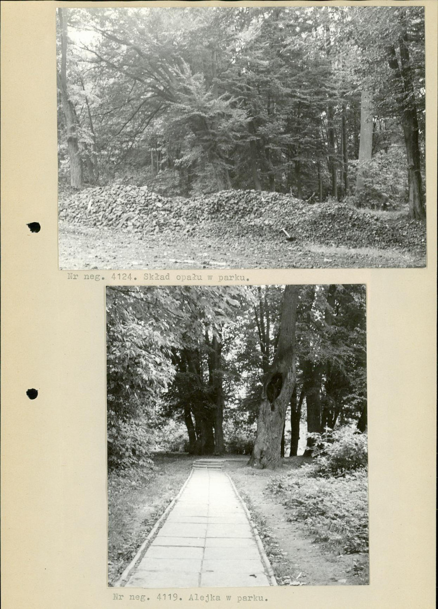 Ewidencja parkowa, skan nr 13
