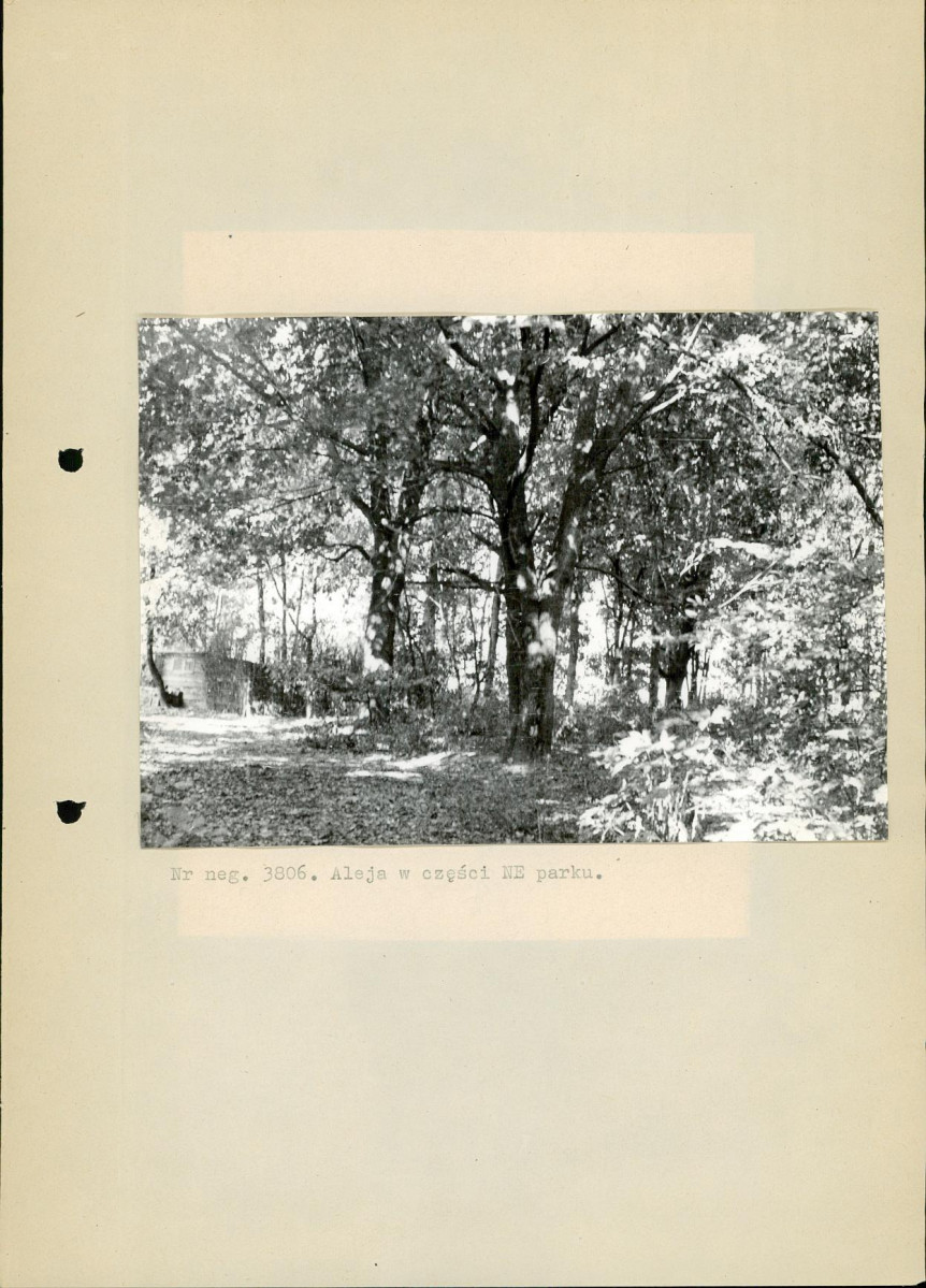 Ewidencja parkowa, skan nr 13