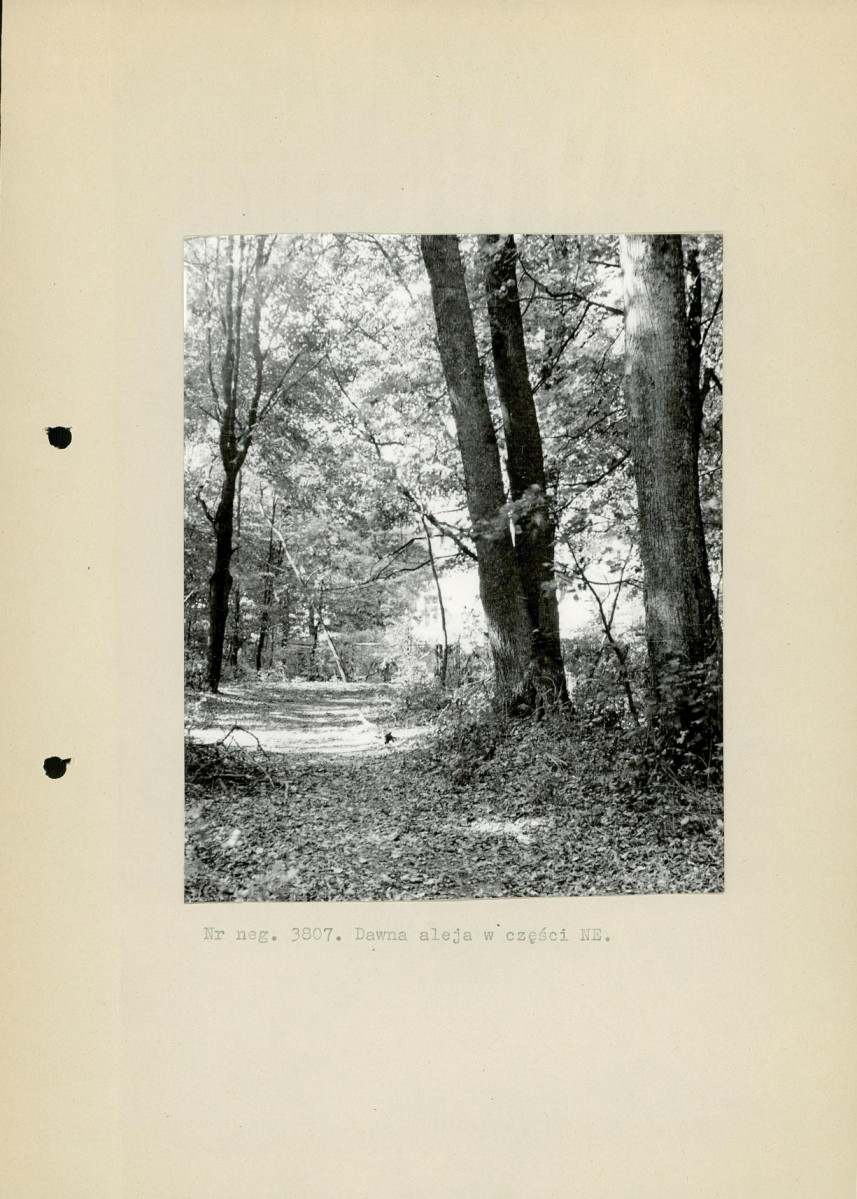 Ewidencja parkowa, skan nr 15
