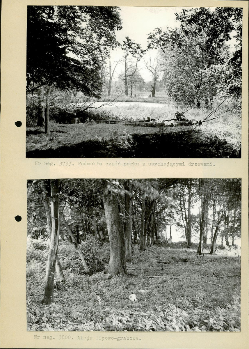 Ewidencja parkowa, skan nr 10