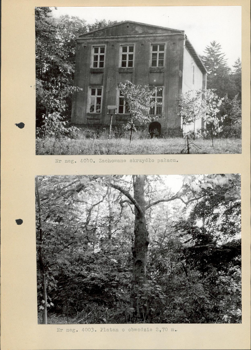 Ewidencja parkowa, skan nr 15