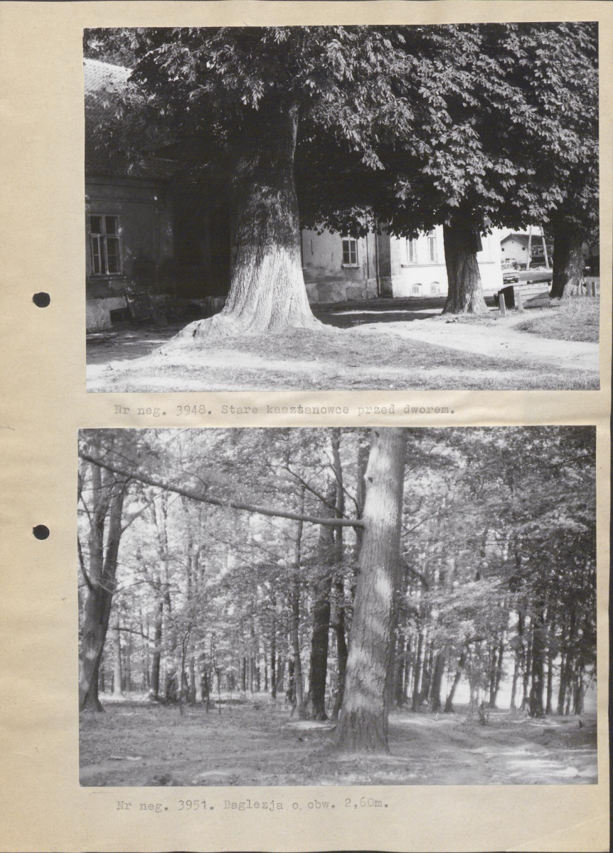 Ewidencja parkowa, skan nr 11
