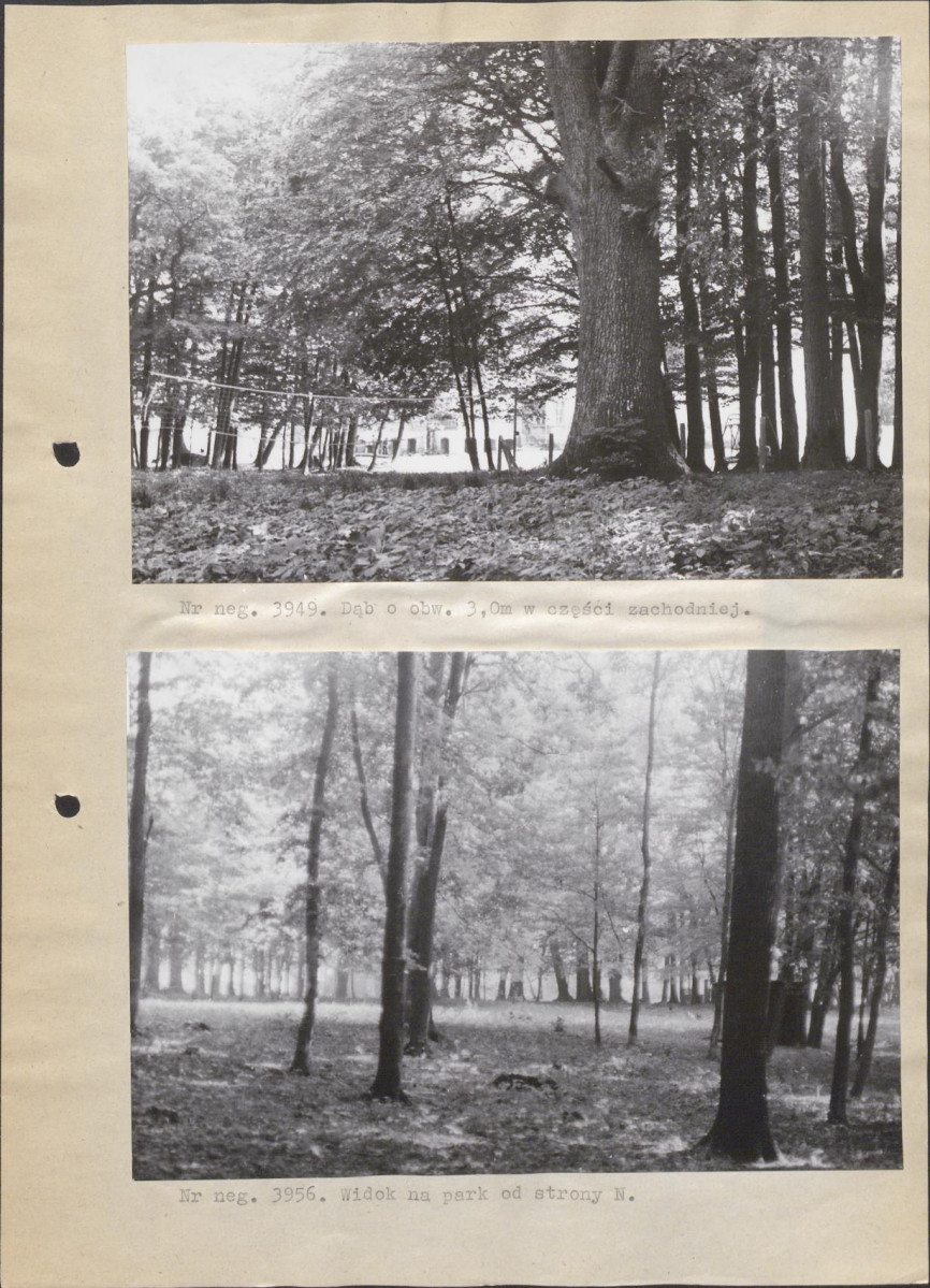 Ewidencja parkowa, skan nr 13