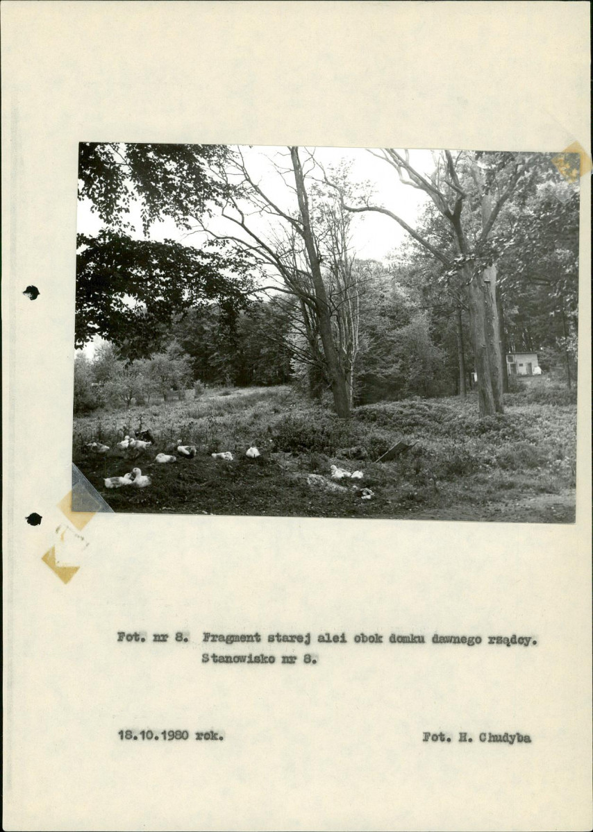 Ewidencja parkowa, skan nr 36