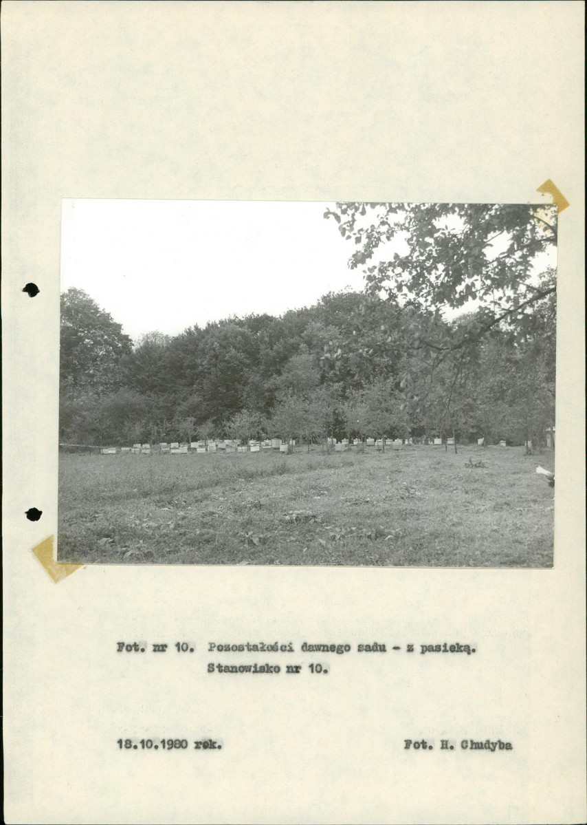 Ewidencja parkowa, skan nr 38
