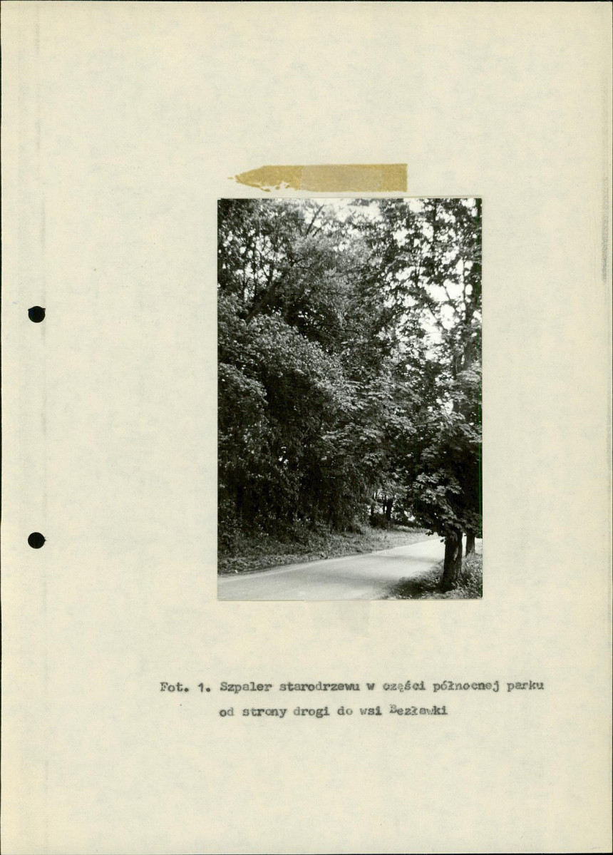 Ewidencja parkowa, skan nr 21