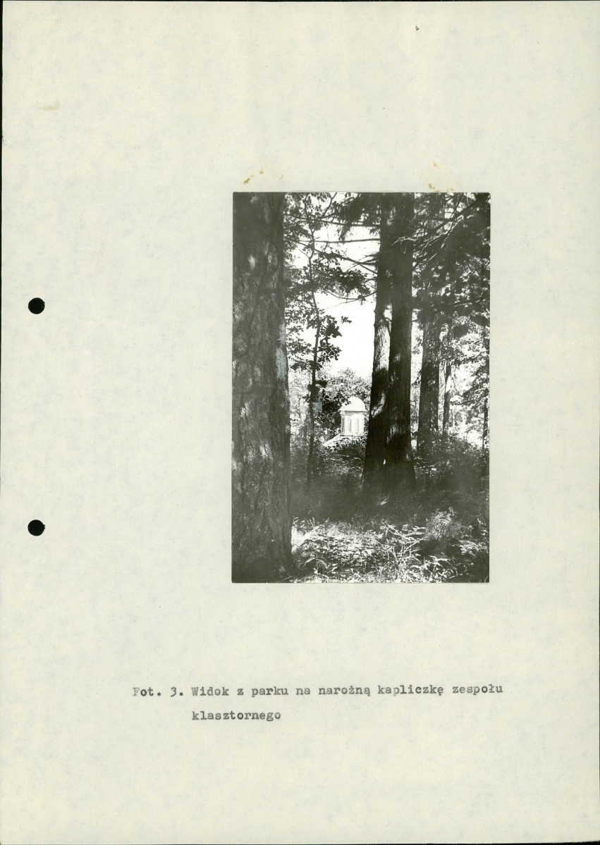 Ewidencja parkowa, skan nr 23