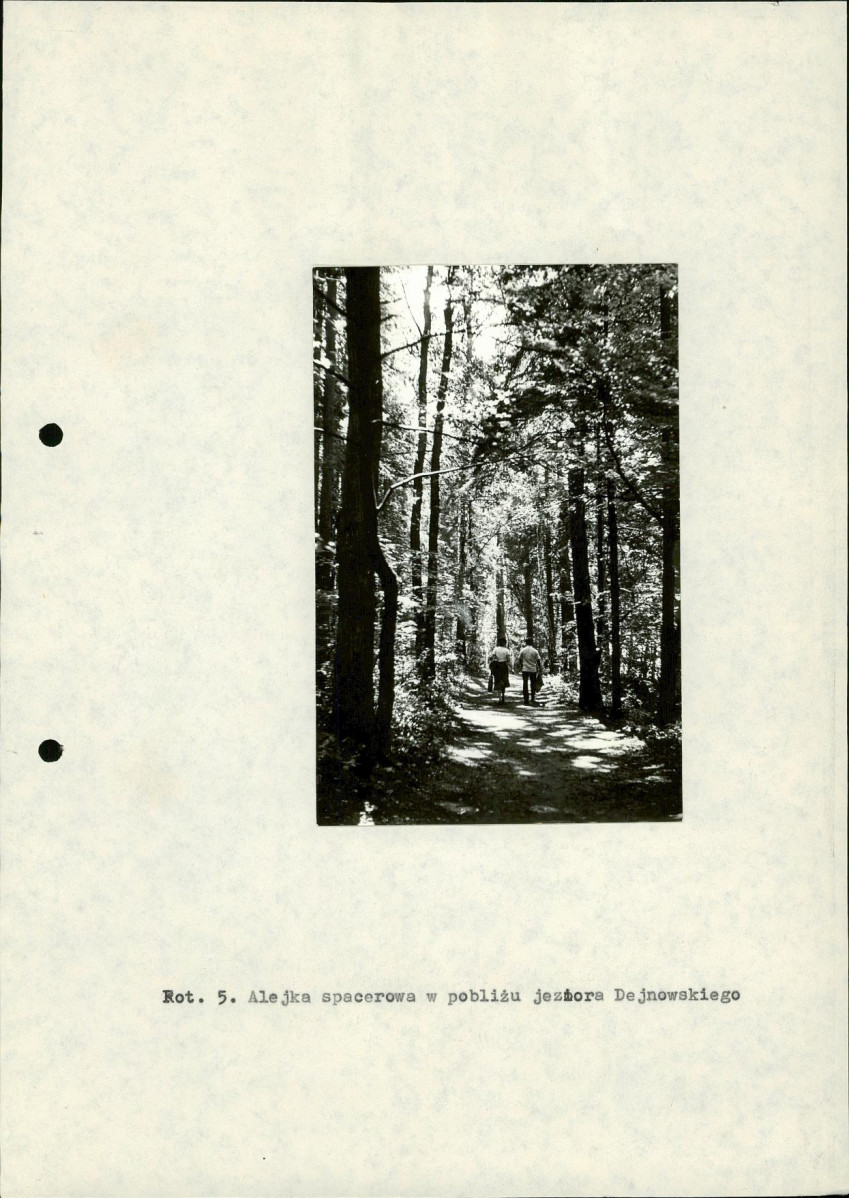 Ewidencja parkowa, skan nr 25