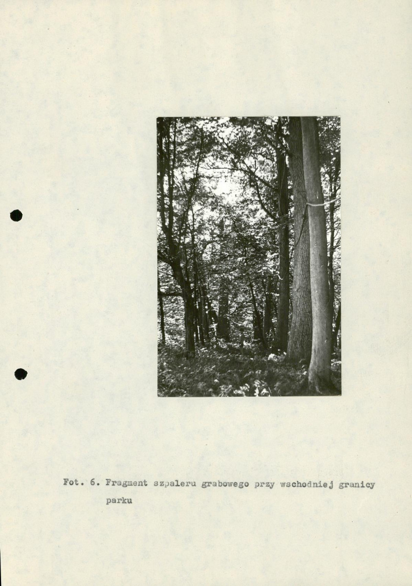 Ewidencja parkowa, skan nr 26