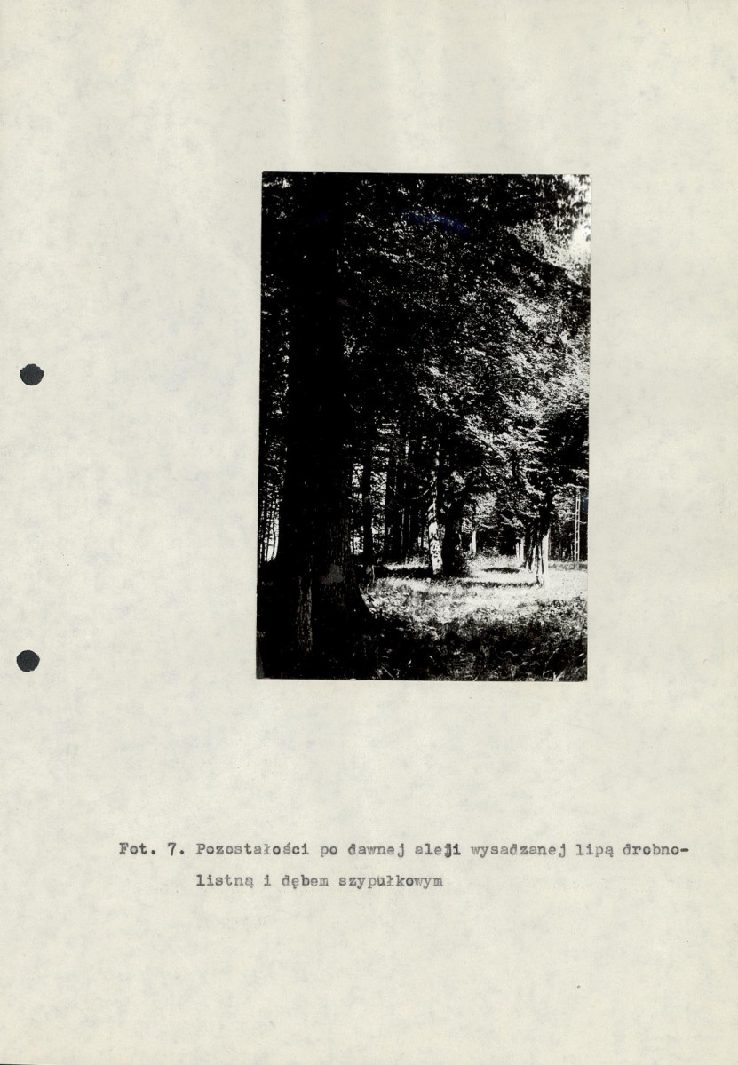 Ewidencja parkowa, skan nr 27