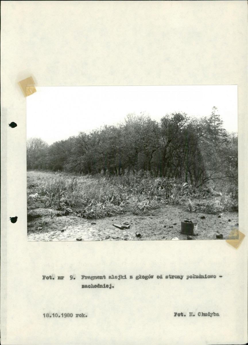 Ewidencja parkowa, skan nr 35