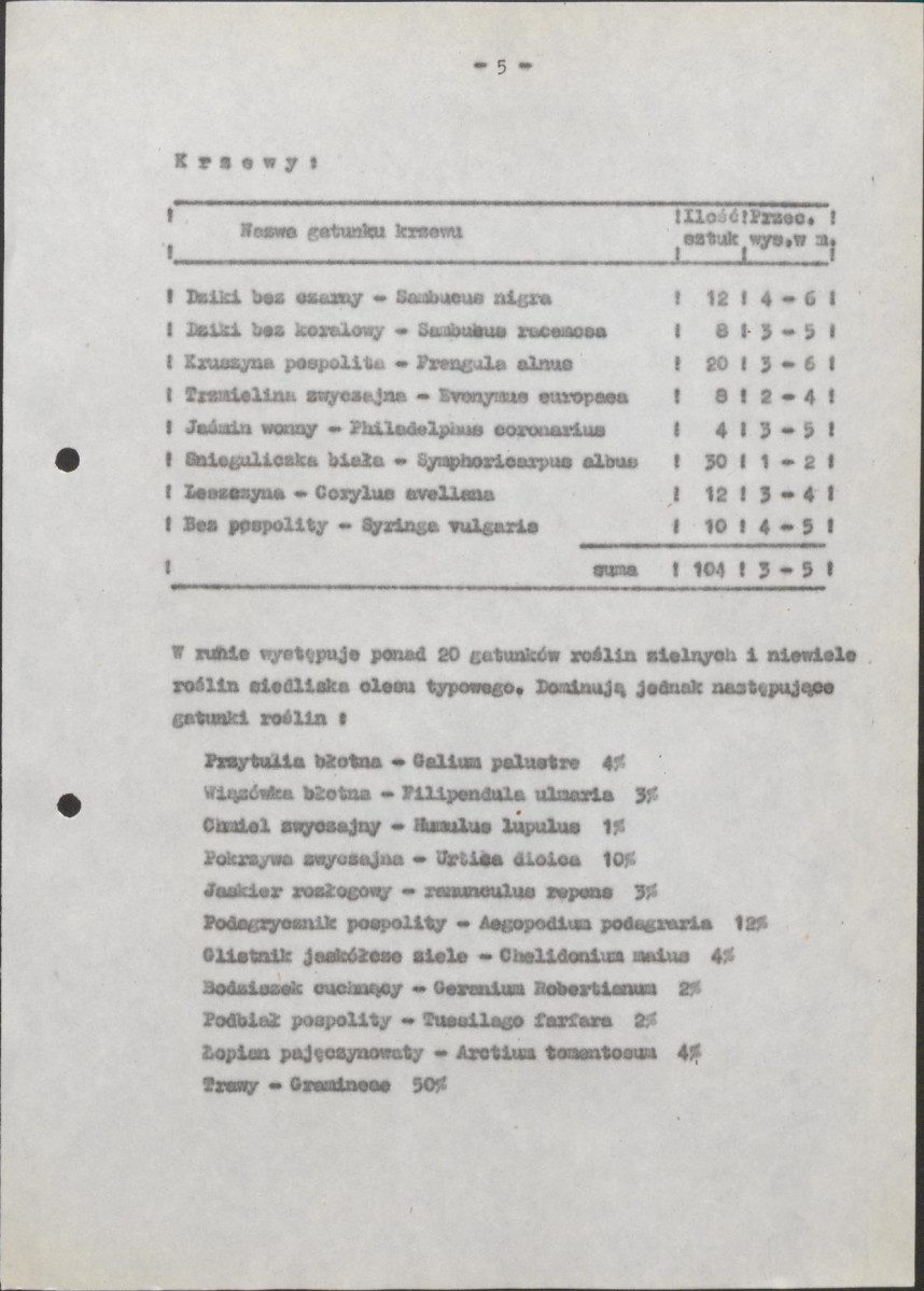 Ewidencja parkowa, skan nr 13