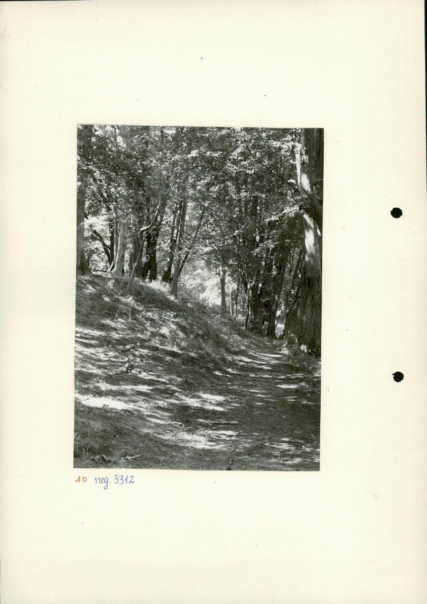Ewidencja parkowa, skan nr 18